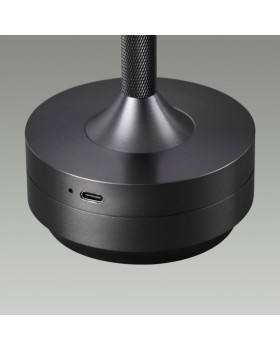 Настольная лампа Odeon Light 5034/6TL-foto2
