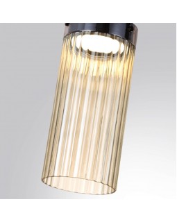 Накладной светильник Odeon Light 5047/10LC-foto2
