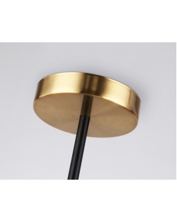 Люстра на штанге Ambrella Light TR2507-foto4