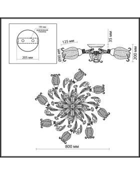 Накладная люстра Odeon Light 2252/8C-foto2
