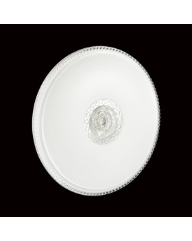 Накладной светильник Sonex 2044/DL-foto2