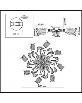 Накладная люстра Odeon Light 2252/8C-foto3