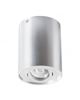 Накладной светильник ARTE Lamp A5644PL-1SI