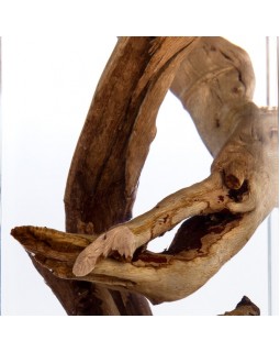 Подвесной светильник Divinare 3200/09 SP-1-foto2