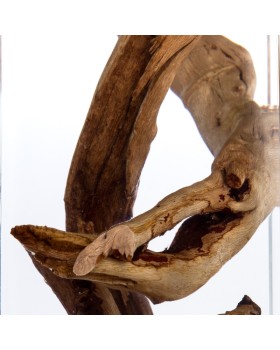 Подвесной светильник Divinare 3200/09 SP-1-foto2