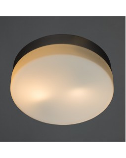 Накладной светильник ARTE Lamp A3211PL-2SI-foto2