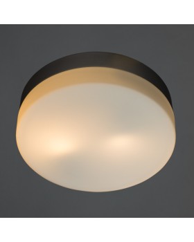 Накладной светильник ARTE Lamp A3211PL-2SI-foto2