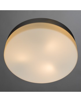 Накладной светильник ARTE Lamp A3211PL-3SI-foto2
