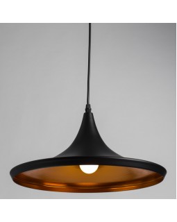 Подвесной светильник ARTE Lamp A3406SP-1BK-foto2