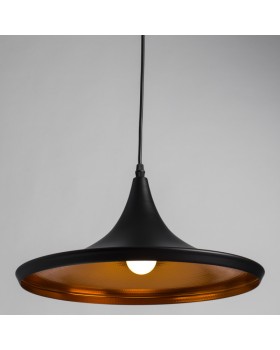Подвесной светильник ARTE Lamp A3406SP-1BK-foto2