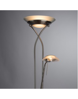 Торшер ARTE Lamp A4399PN-2SS-foto2