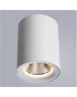 Накладной светильник ARTE Lamp A5118PL-1WH-foto2