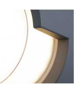 Светильник настенный ARTE Lamp A8159AL-1GY-foto4