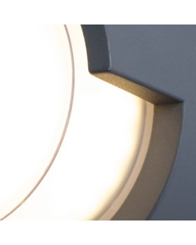 Светильник настенный ARTE Lamp A8159AL-1GY-foto4
