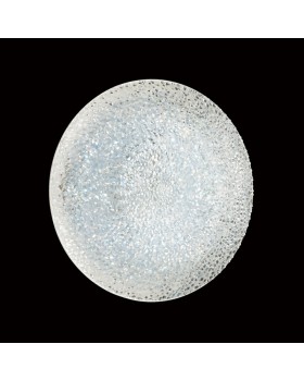 Накладной светильник Sonex 2081/DL-foto2