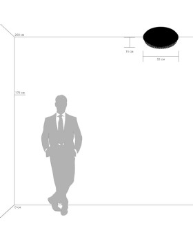 Накладная люстра Lightstar 741074-foto3