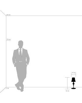 Настольная лампа Lightstar 806910-foto5