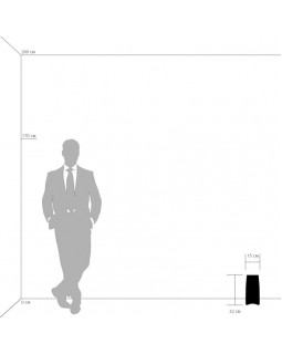Настольная лампа Lightstar 801920-foto3