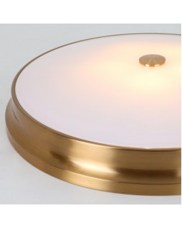 Накладной светильник Favourite 2375-5C-foto4