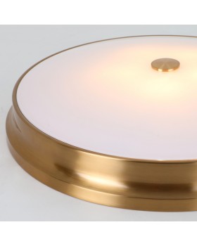 Накладной светильник Favourite 2375-5C-foto4