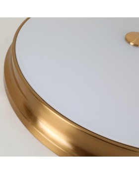 Накладной светильник Favourite 2375-5C-foto5