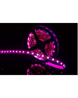 Лента SWG SWG560-12-14.4-RGB-foto6