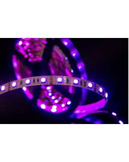 Лента SWG SWG560-12-14.4-RGB-foto8