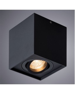 Накладной светильник ARTE Lamp A5544PL-1BK-foto2