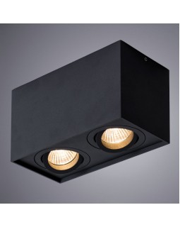 Накладной светильник ARTE Lamp A5544PL-2BK-foto2