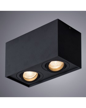 Накладной светильник ARTE Lamp A5544PL-2BK-foto2