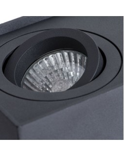 Накладной светильник ARTE Lamp A5544PL-2BK-foto3