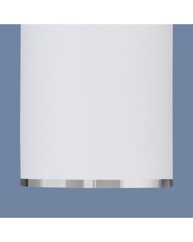 Накладной светильник Elektrostandard DLN101 GU10 WH белый-foto3