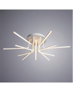 Накладной светильник ARTE Lamp A6207PL-12WH-foto2