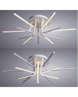 Накладной светильник ARTE Lamp A6207PL-12WH-foto3