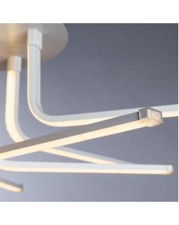 Накладной светильник ARTE Lamp A6207PL-12WH-foto5