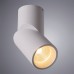 Накладной светильник ARTE Lamp A7717PL-1WH