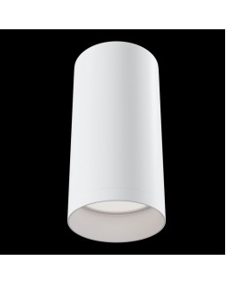 Накладной светильник Maytoni Technical C010CL-01W-foto2