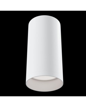 Накладной светильник Maytoni Technical C010CL-01W-foto2