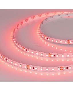 Лента Arlight 008781(B)-foto2