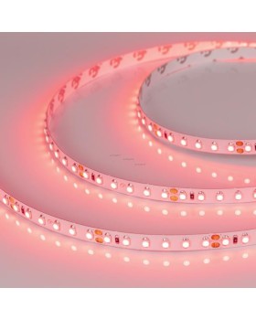 Лента Arlight 008781(B)-foto2