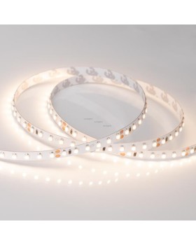 Лента Arlight 027936(B)-foto2