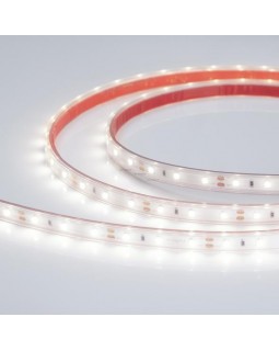 Лента Arlight 021099-foto2