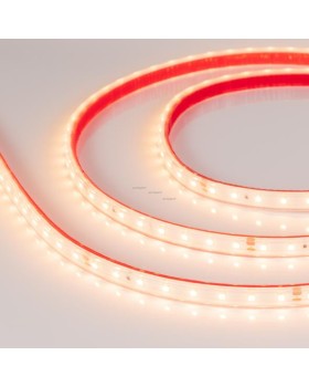 Лента Arlight 024519-foto2