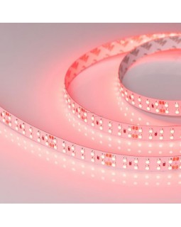 Лента Arlight 008775(B)-foto2