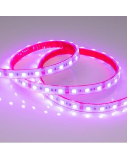 Лента Arlight 021402-foto2