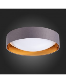 Накладной светильник Evoluce SLE201112-01-foto4