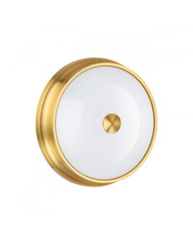 Накладной светильник Odeon Light 4824/3C-foto2