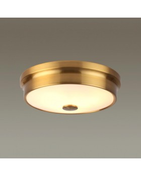 Накладной светильник Odeon Light 4824/3C