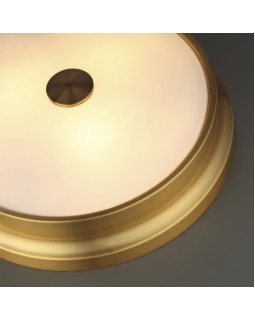 Накладной светильник Odeon Light 4824/3C-foto4