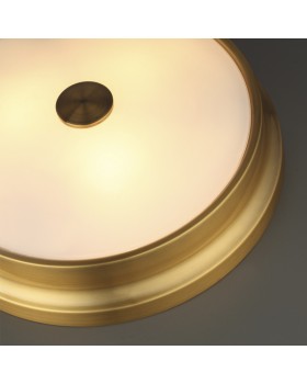 Накладной светильник Odeon Light 4824/3C-foto4